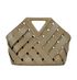 Bottega Veneta Point Bag, back view